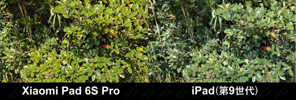 Xiaomi Pad 6S ProとiPad(第9世代)での動画撮影の検証写真。Xiaomi Pad は葉っぱの緑色が不自然