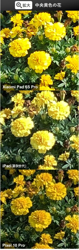 Xiaomi Pad 6S ProとiPad(第9世代)、Pixel 10 Proの花壇拡大撮影比較。Pixelは高解像度だが、XiaomiはiPadよりも解像感が低く花びらなどが不鮮明な結