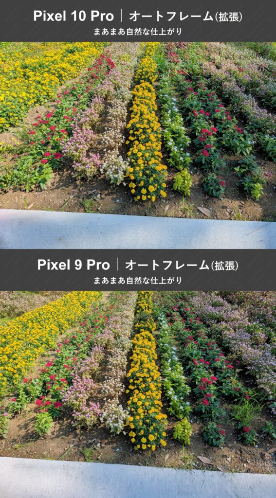 Pixel 10 ProとPixel 9 ProのAI画像拡張機能オートフレーム適用後の画像比較。両機種ともそこそこ自然な仕上がりで差はあまりない