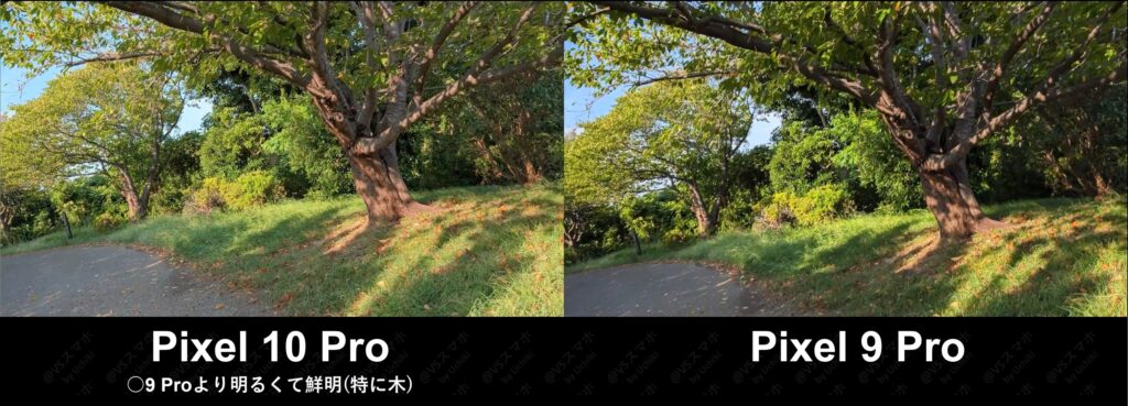 Pixel 10 ProとPixel 9 Proでの動画撮影の色味の検証写真。Pixel 10 Proは9 Proより明るくてきれいになった検証結果